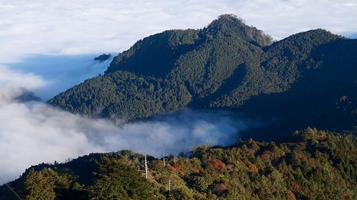 Alishan Forest Recreation Area (1)