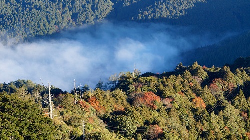 Alishan Forest Recreation Area (2)