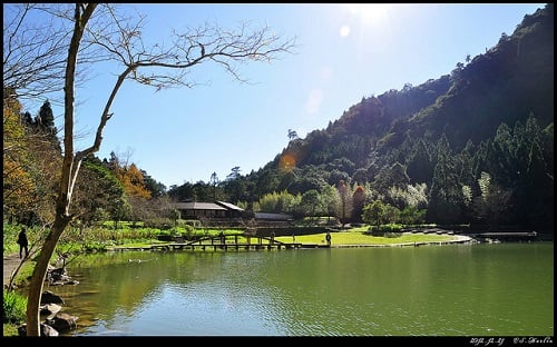 Mingchih Forest (1)