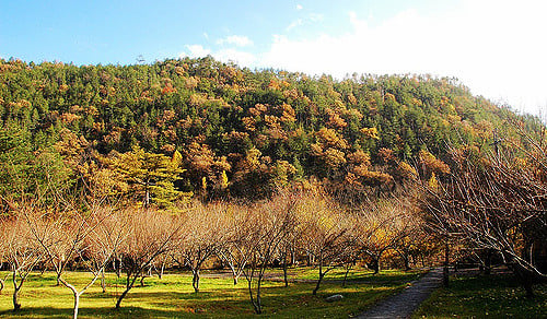 Wuling Farm (3)