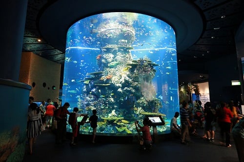 sea-aquarium-1