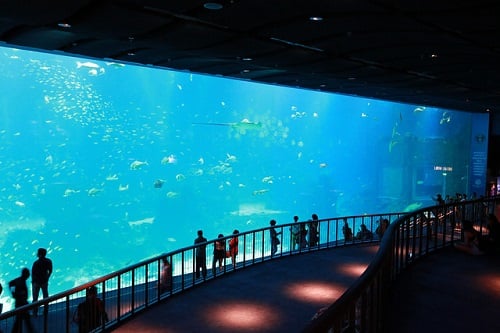 sea-aquarium-2
