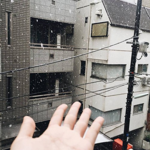 snow-tokyo