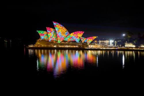 vivid1