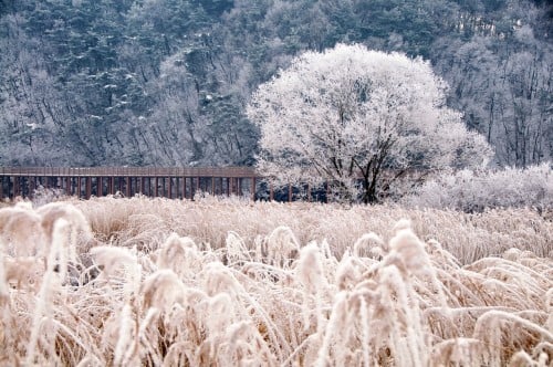 Cr: 123RF.com