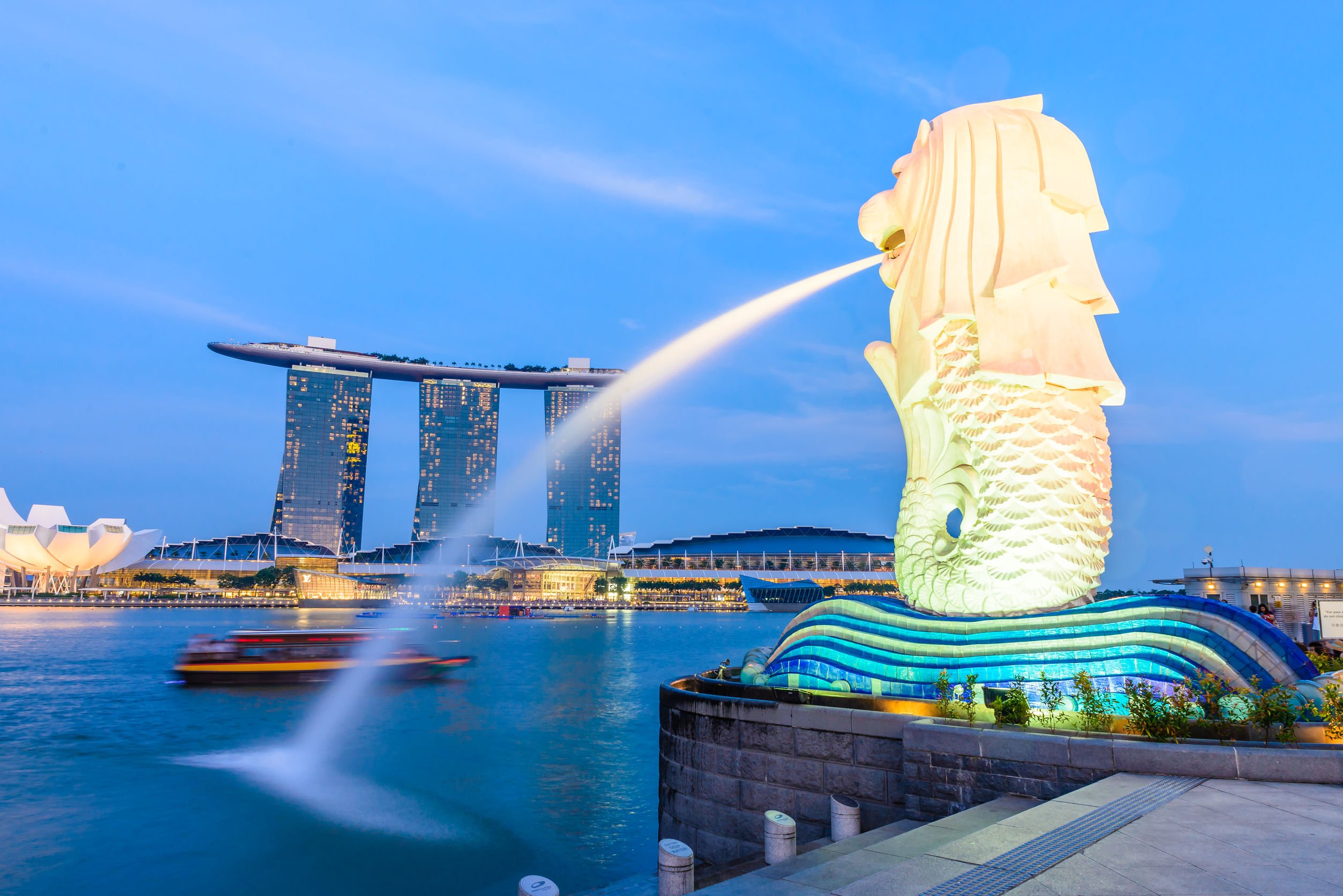 merlion - Mushroom Travel