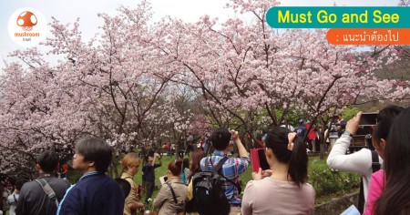 08_03_17_Sakura-Taiwan-2017