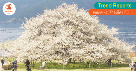 13-03-17_Odakyu-Hakone