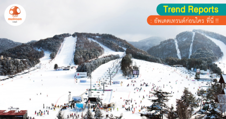 April Snow 2017 เล่นหิมะสุขใจที่เกาหลี สงกราต์นี้ ห้ามพลาด!