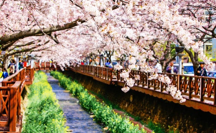 Cr. visitkorea.or.kr
