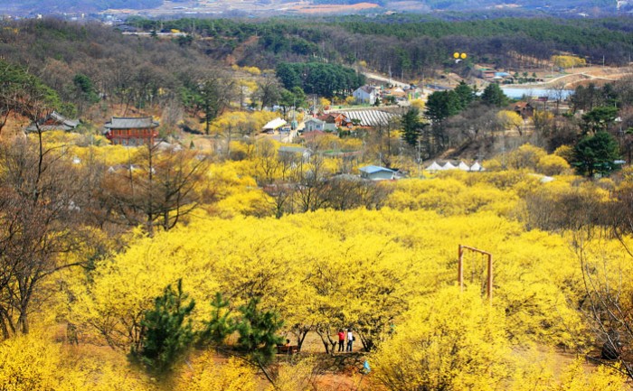 Cr. visitkorea.or.kr
