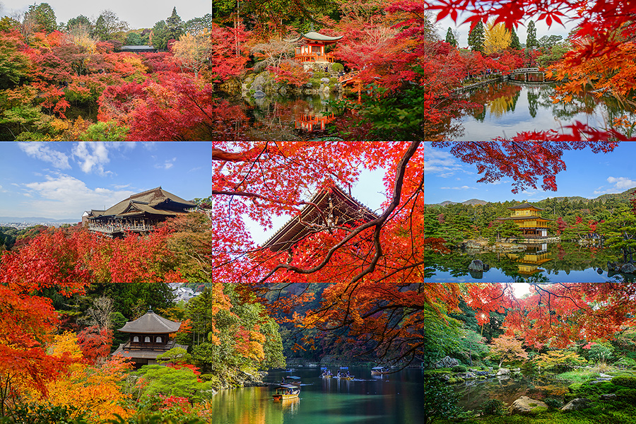 เที่ยวเกียวโต ใบไม้เปลี่ยนสี
