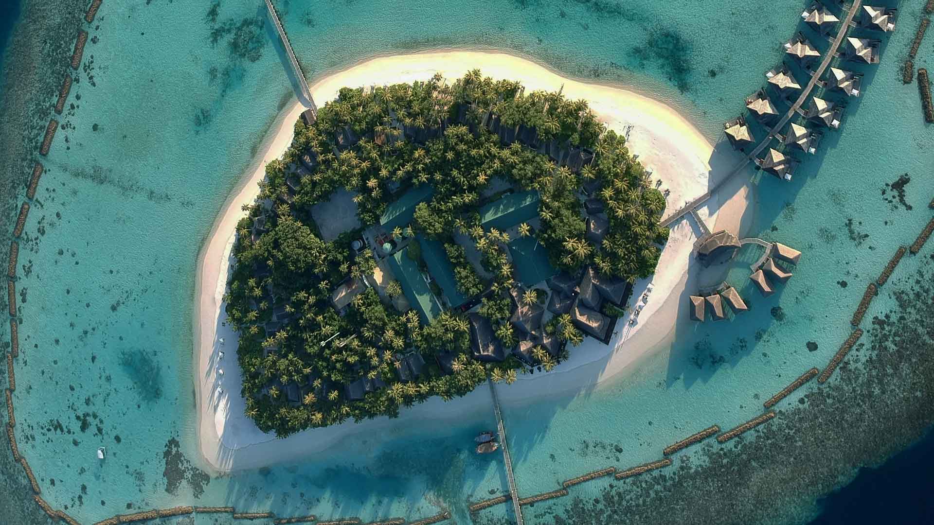 Vakarufalhi Island Resort Maldives 3D2N, 4D3N ไม่รวมตั๋วเครื่องบิน ราคาเริ่มต้น 25,500 บาท เหมาะสำหรับสายธรรมชาติ ชอบดำน้ำ
