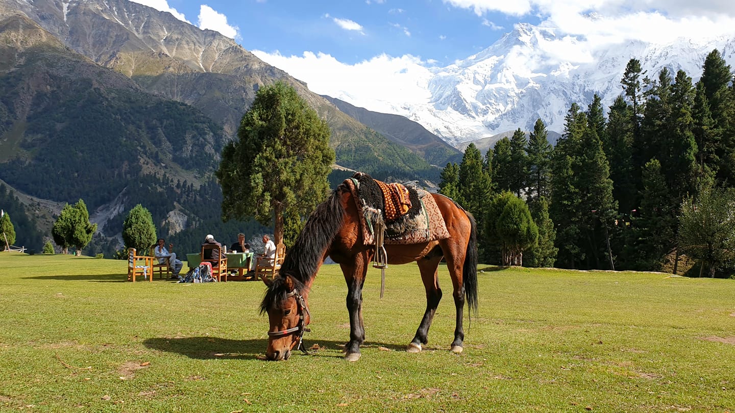 Packge Pakistan(ปากีสถาน) 8D5N เที่ยวด้วยตนเอง ไม่รวมตั๋วเครื่องบิน ราคาเริ่มต้น 51,500 บาท เหมาะสำหรับผู้ที่ใช้ภาษาอังกฤษได้เท่านั้น