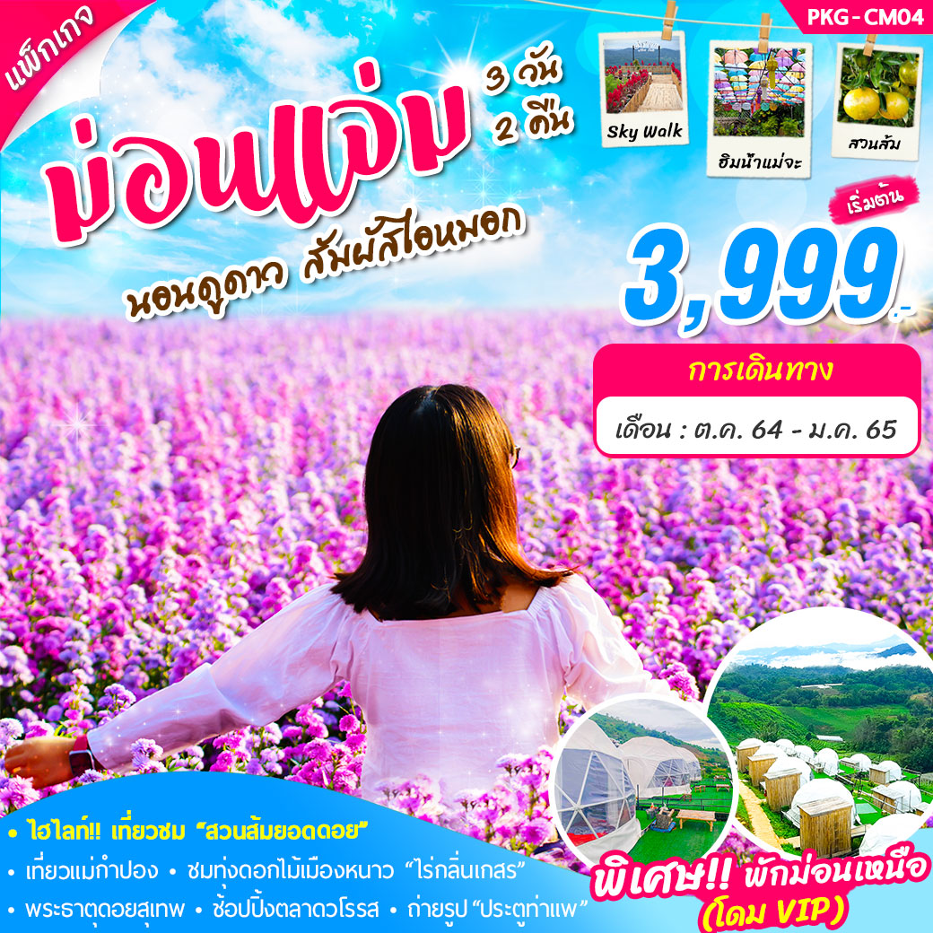 MUSHEASY 105 แพ็กเกจ ม่อนแจ่ม นอนดูดาว สัมผัสไอหมอก 3วัน2คืน ราคาเริ่มต้น 3,999 .- เดินทางวันนี้- ม.ค. 65