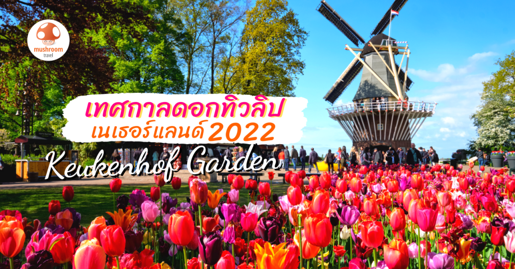 ชวนเที่ยว เทศกาลดอกทิวลิป เนเธอร์แลนด์ 2022 สวนเคอเคนฮอฟ หนึ่งปีมีครั้ง!